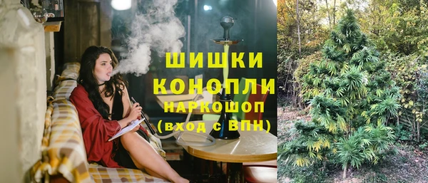 крисы Краснослободск