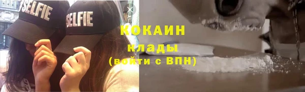 крисы Краснослободск