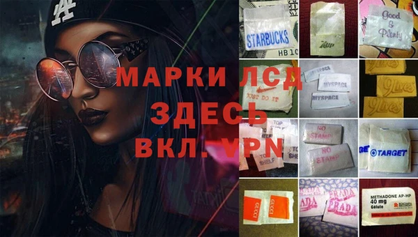 крисы Краснослободск