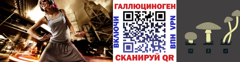 Галлюциногенные грибы Psilocybine cubensis  Купить  Печоры 